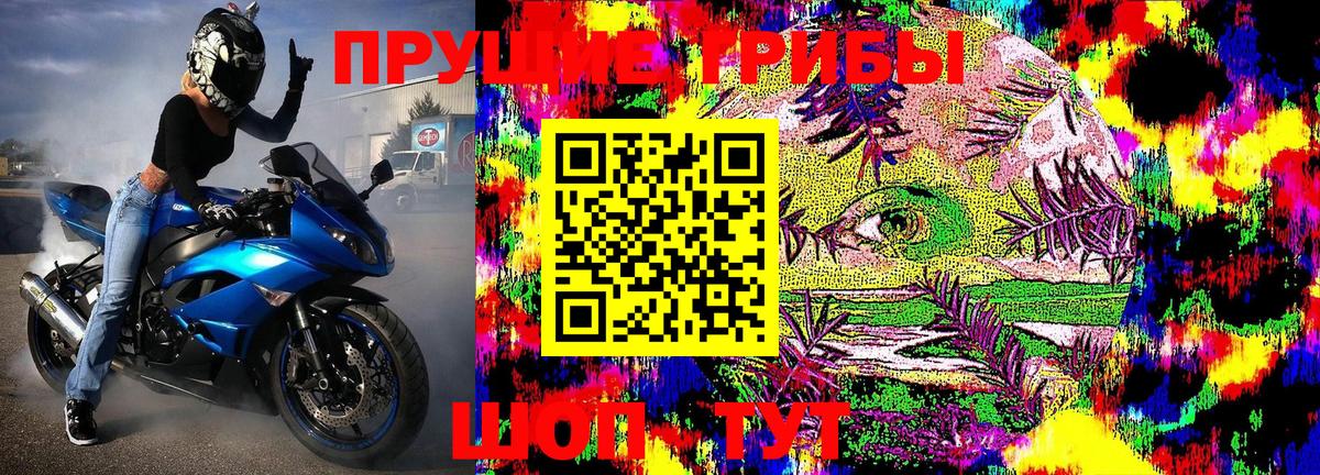 Псилоцибиновые грибы Magic Shrooms Якутск
