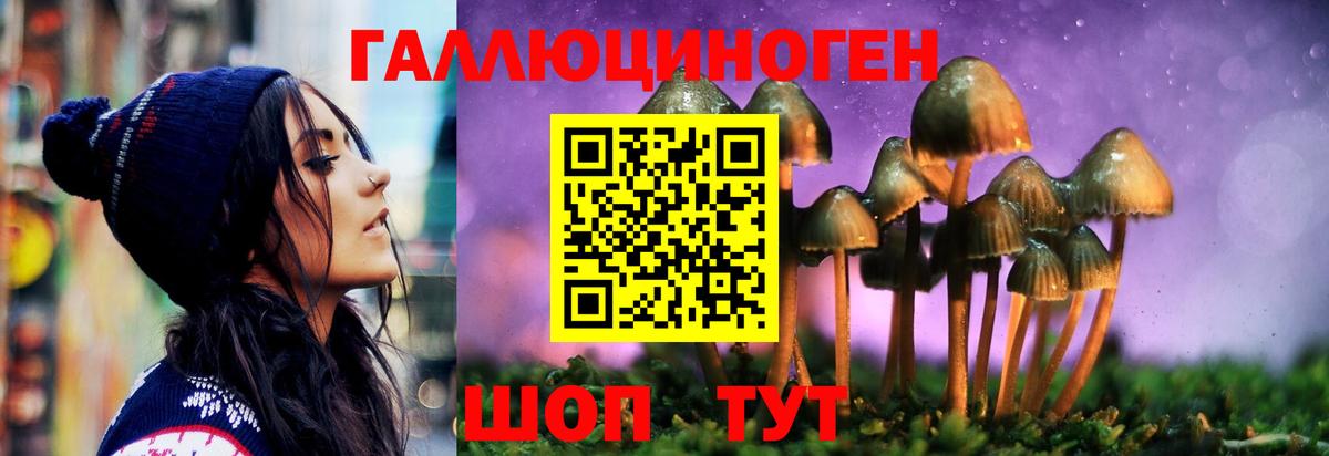 Якутск  Псилоцибиновые грибы ЛСД  Псилоцибиновые грибы Psilocybine cubensis  Вход с VPN 